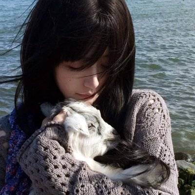 狼虎相残